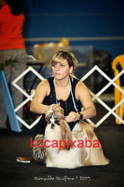 Clique sobre a foto para fechar